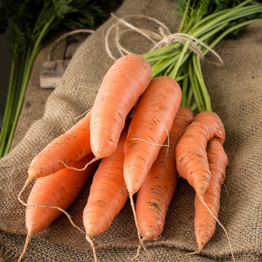 Oddly Carrots